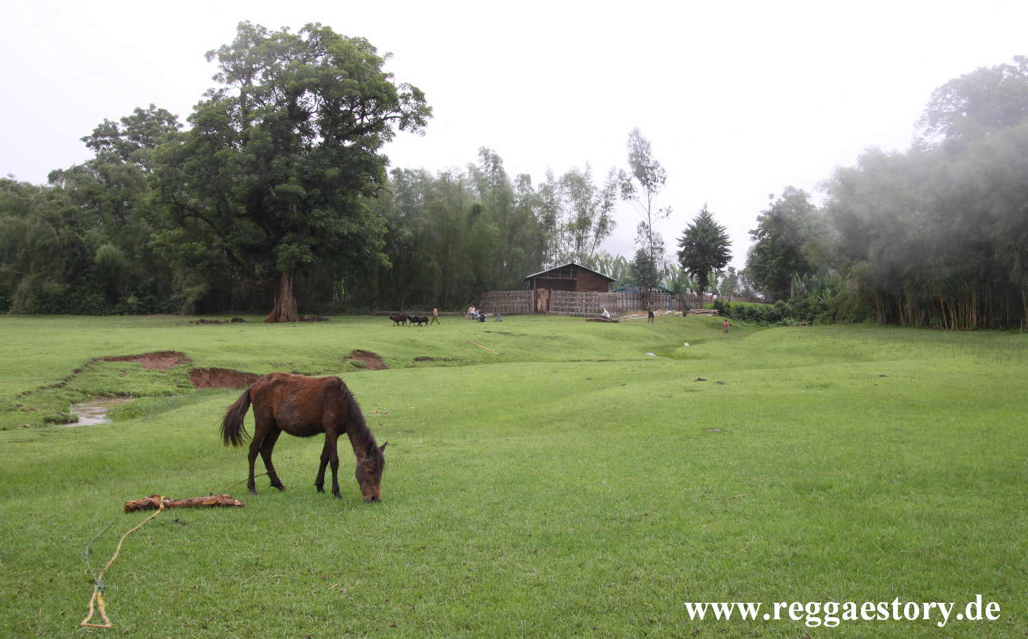 Dorze Land - Ethiopia