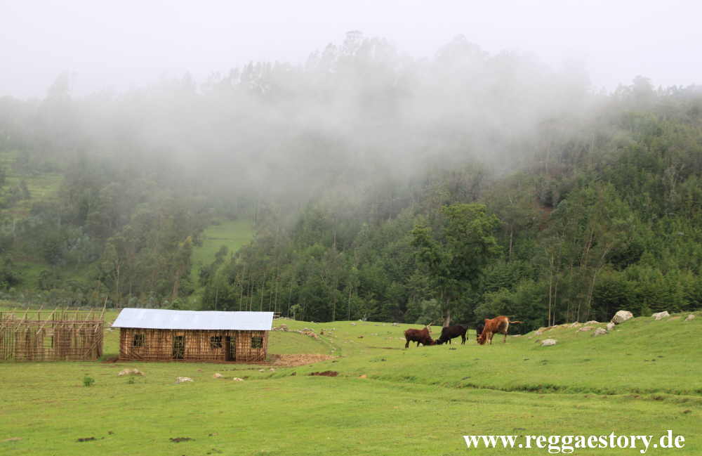 Dorze Land - Cencia - Ethiopia