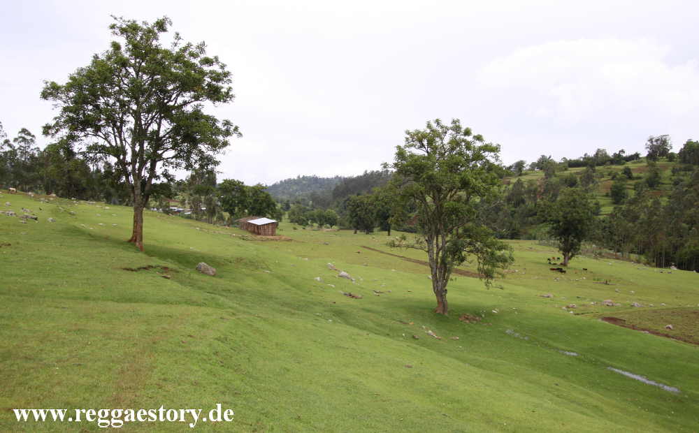 Dorze Land - Cencia - Ethiopia
