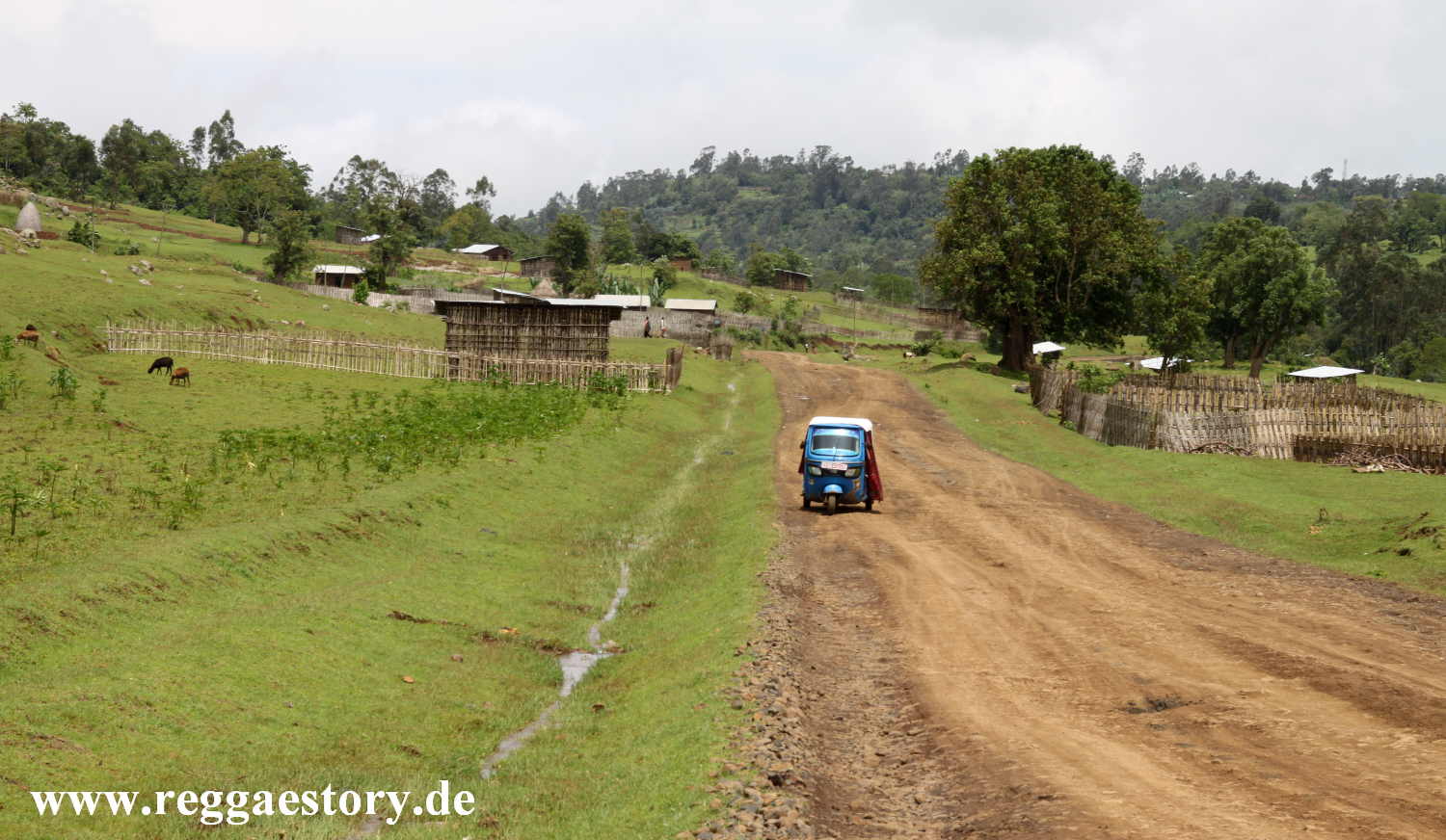 Dorze Land - Cencia - Ethiopia