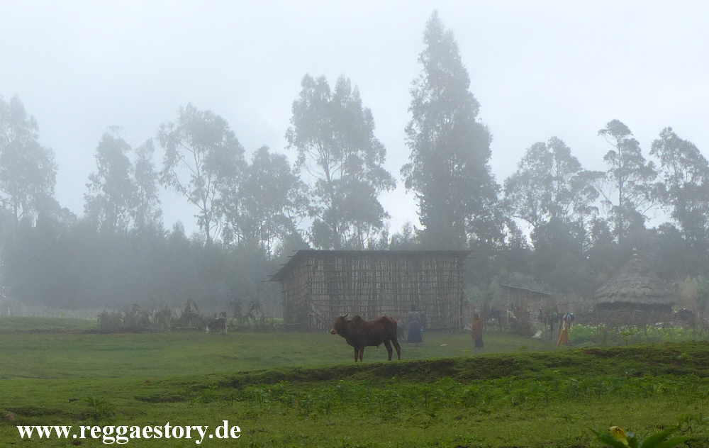 Dorze Land - Cencia - Ethiopia