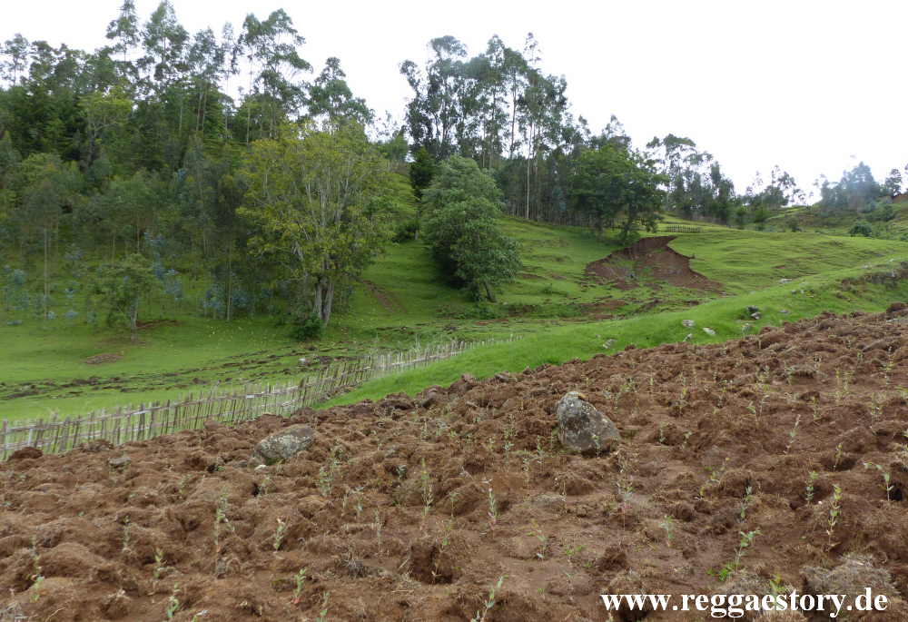Dorze Land - Cencia - Ethiopia