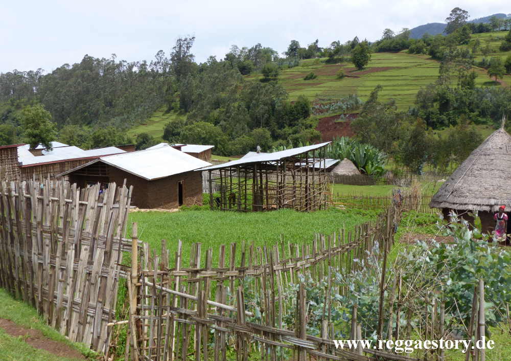 Dorze Land - Cencia - Ethiopia
