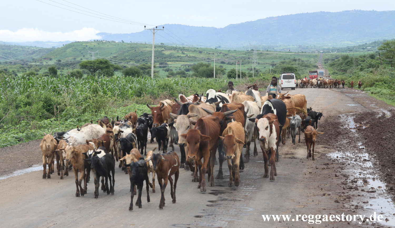 Near Arba Minch - Ethiopia