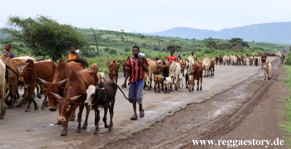 Near Arba Minch - Ethiopia