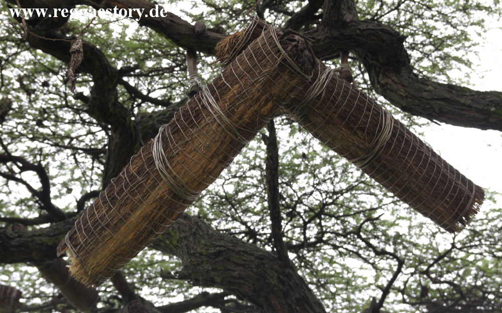 Beebasket - Arba Minch - Ethiopia