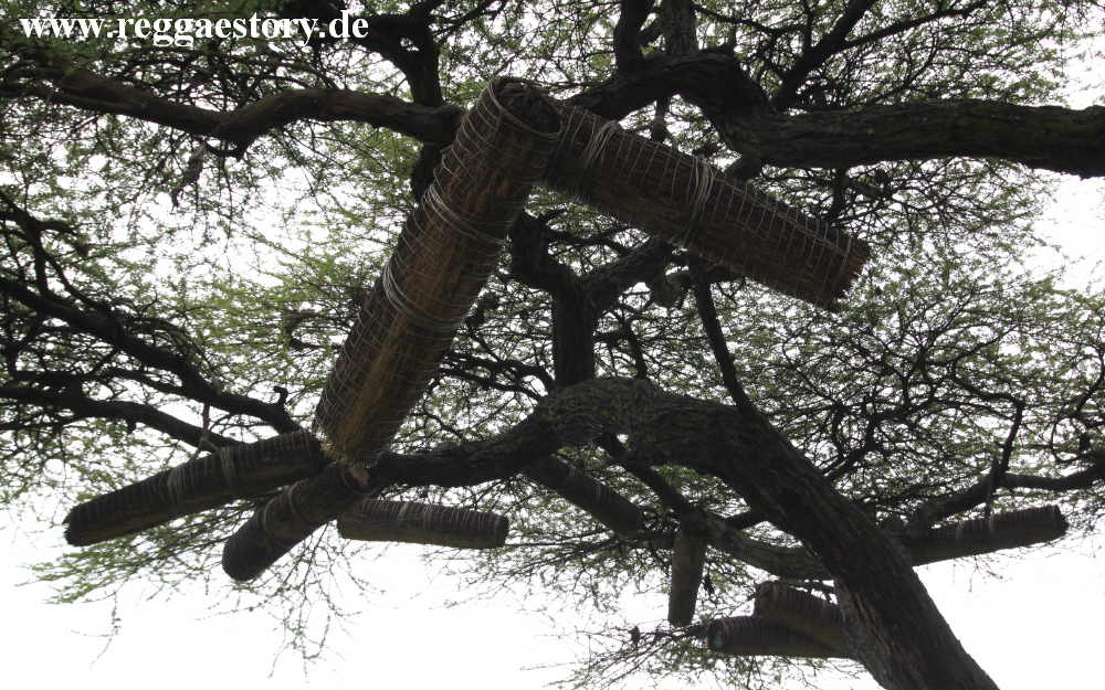 Beebasket - Arba Minch - Ethiopia