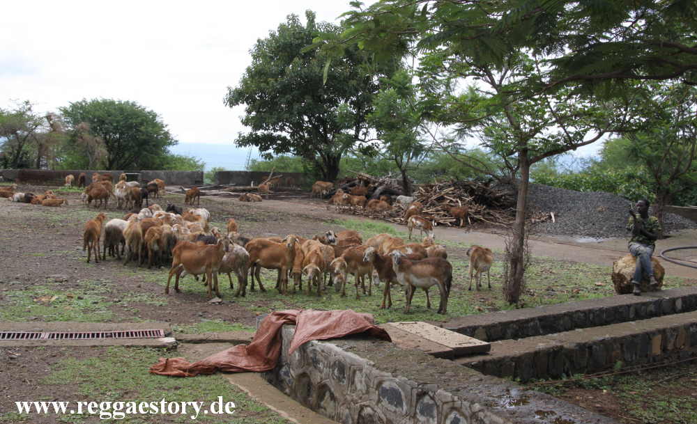 Kanta Lodge - Konso - Ethiopia