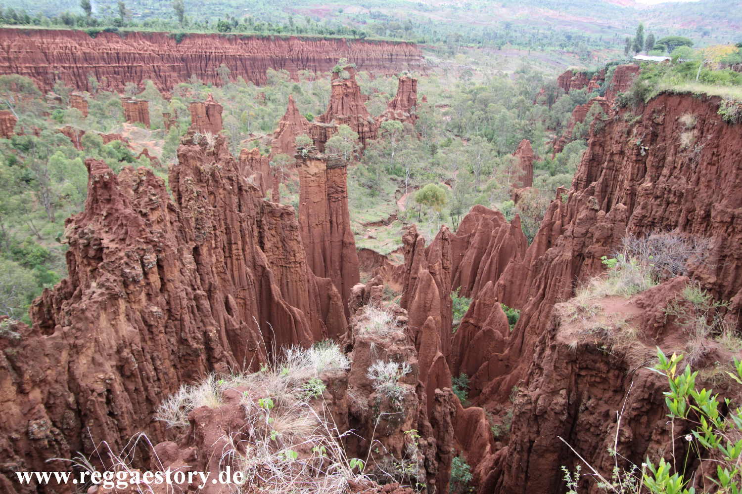 New York Formation near Gesergiyo - Konso - Ethiopia