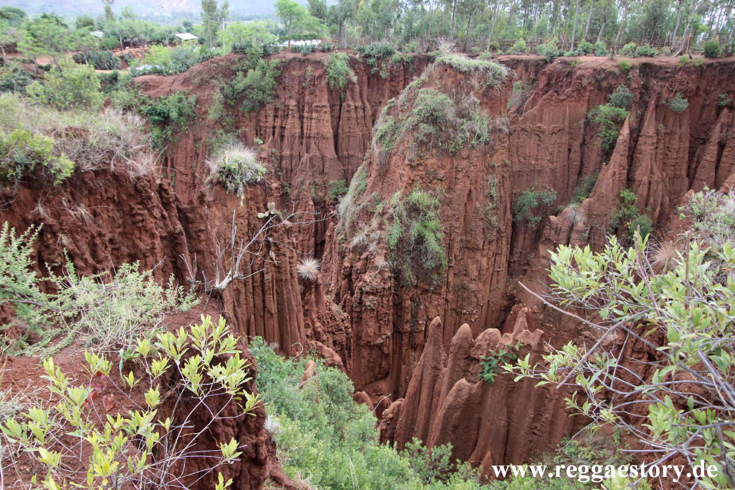 New York Formation near Gesergiyo - Konso - Ethiopia