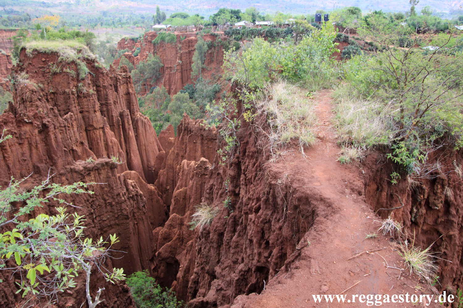 New York Formation near Gesergiyo - Konso - Ethiopia