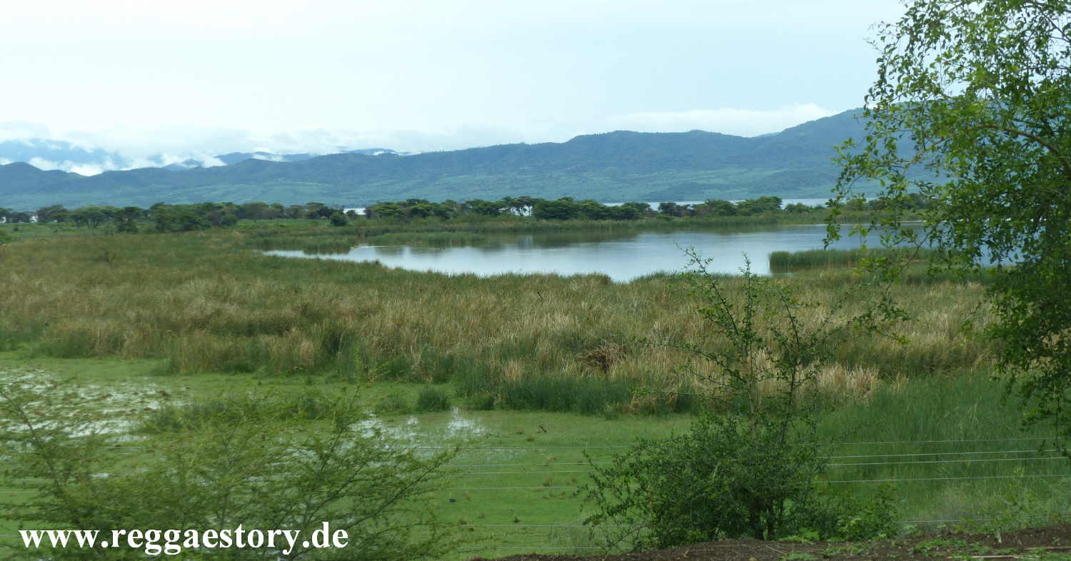 Lake Chamo - Arba Minch - Ethiopia
