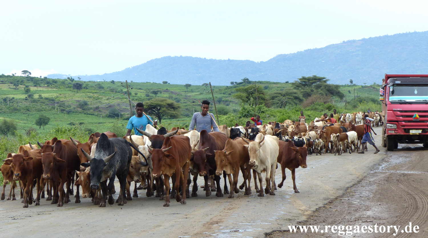 Near Arba Minch - Ethiopia