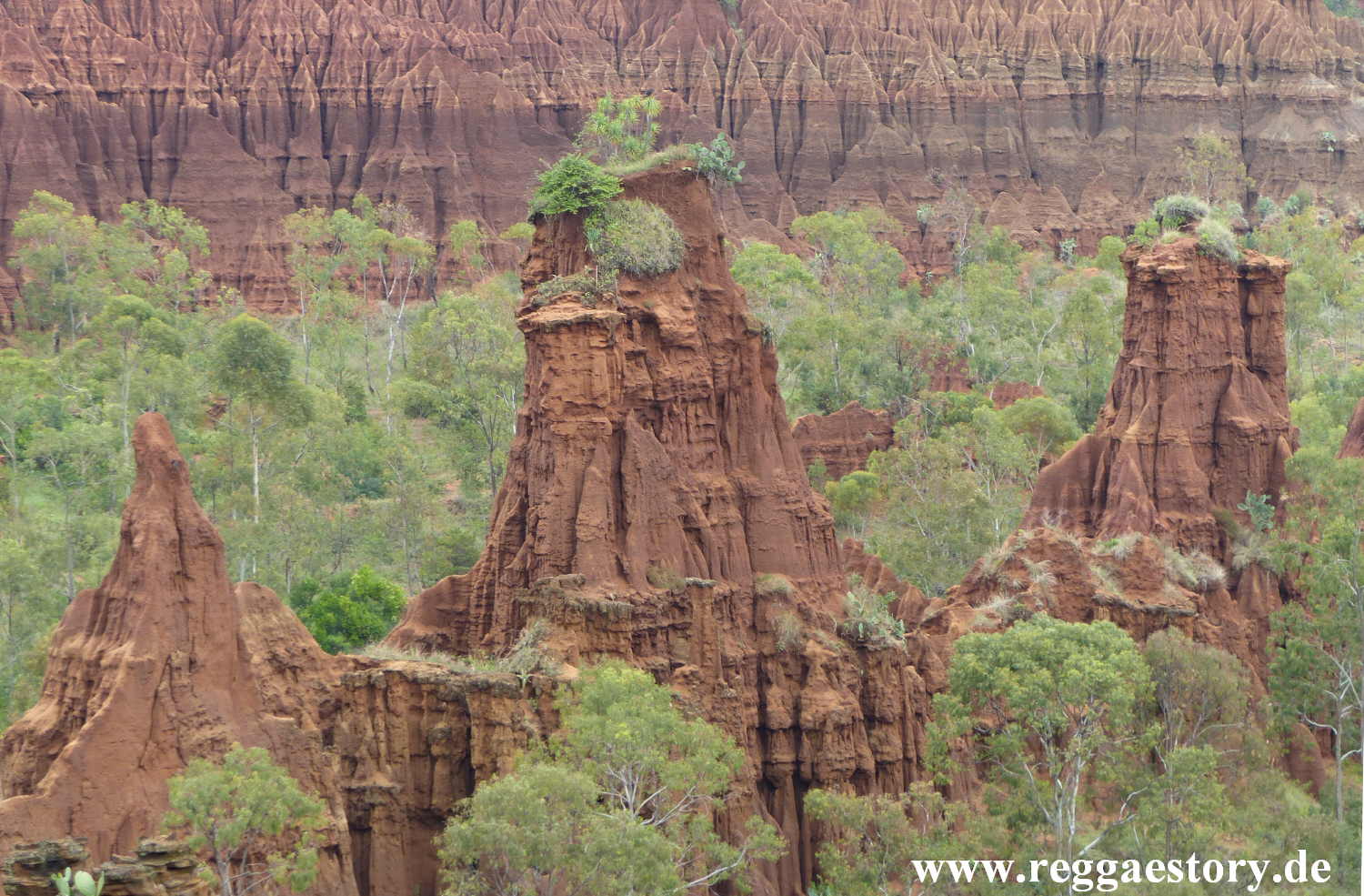 New York Formation near Gesergiyo - Konso - Ethiopia