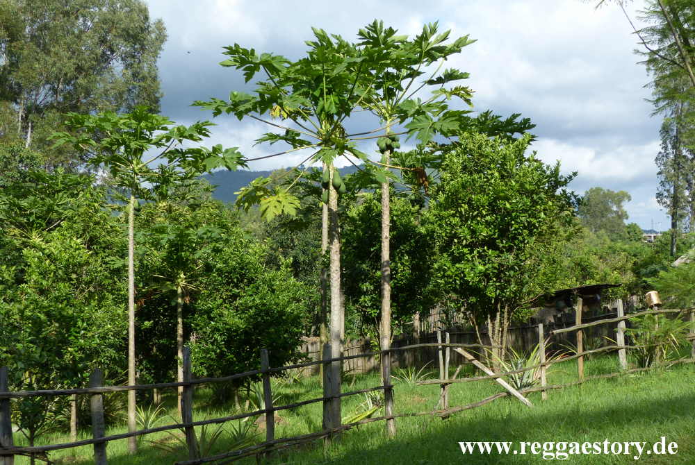 Eco Omo Lodge - Jinka - Ethiopia