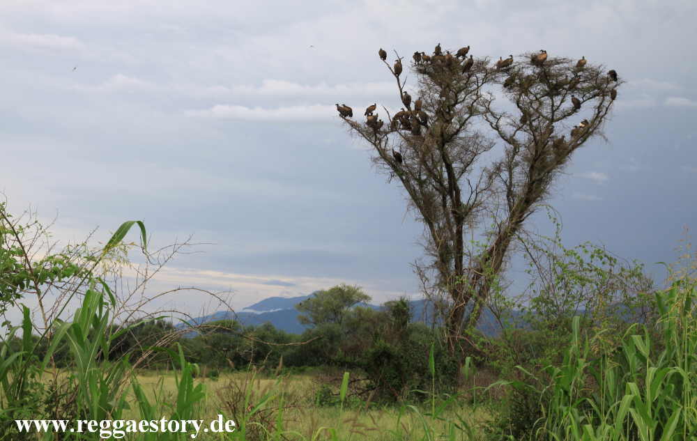 Mago-Nationalpark - Ethiopia