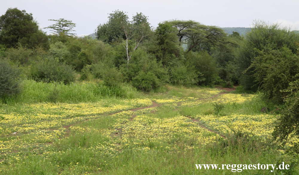 Mago-Nationalpark - Ethiopia