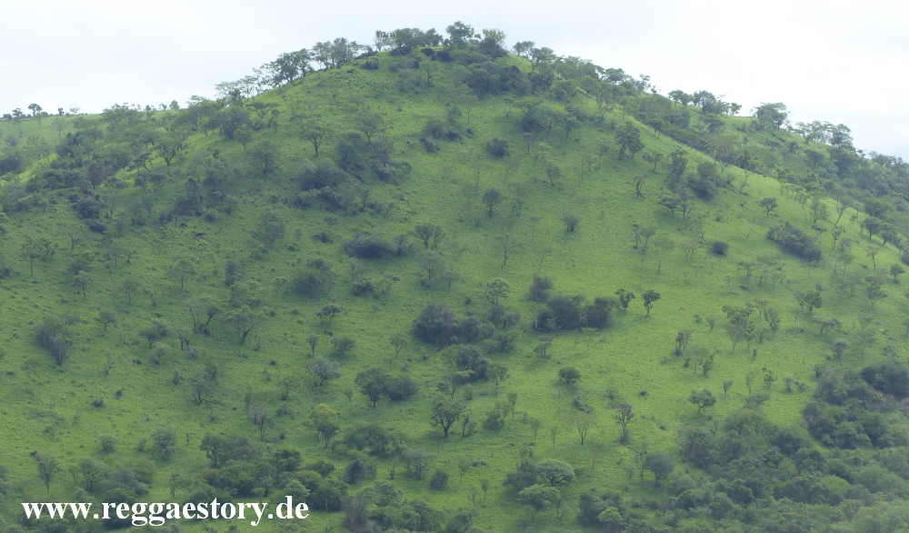Mago-Nationalpark - Ethiopia