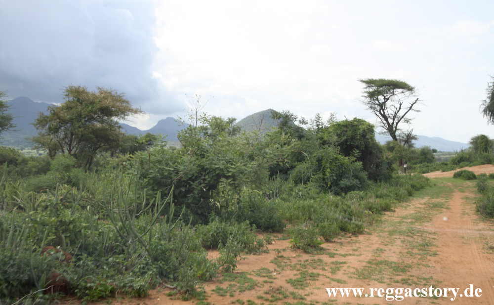 Near Key Afer - Ethiopia