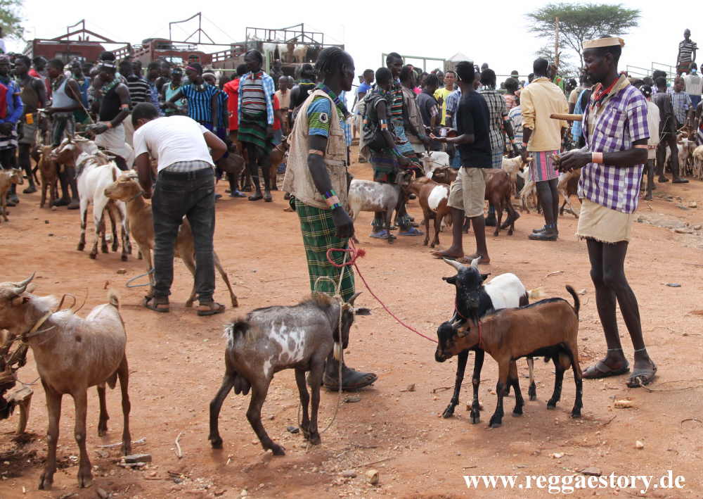 Animal market - Dimeka - Ethiopia