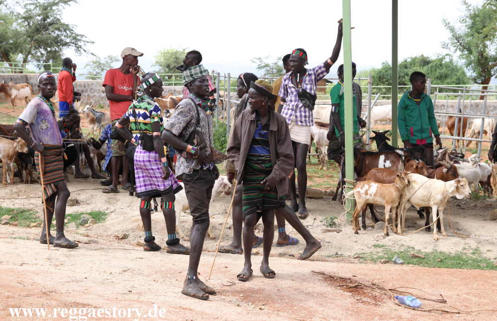 Animal market - Dimeka - Ethiopia