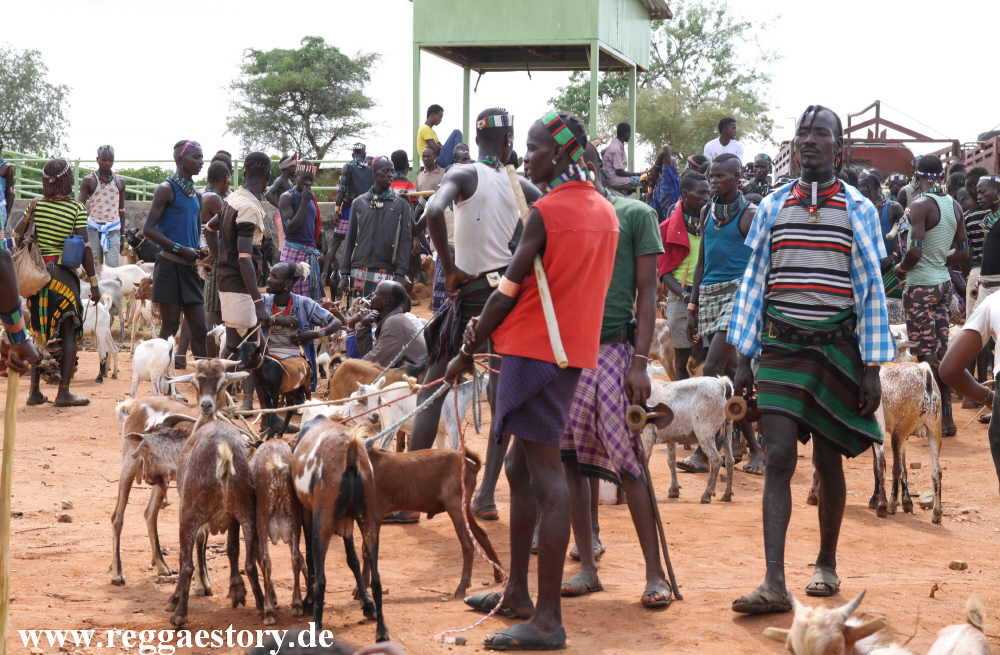 Animal market - Dimeka - Ethiopia