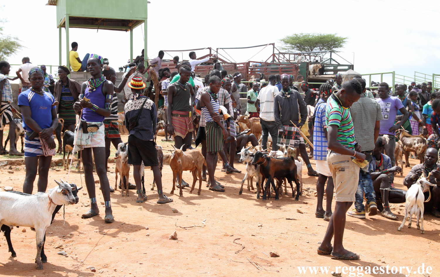 Animal market - Dimeka - Ethiopia