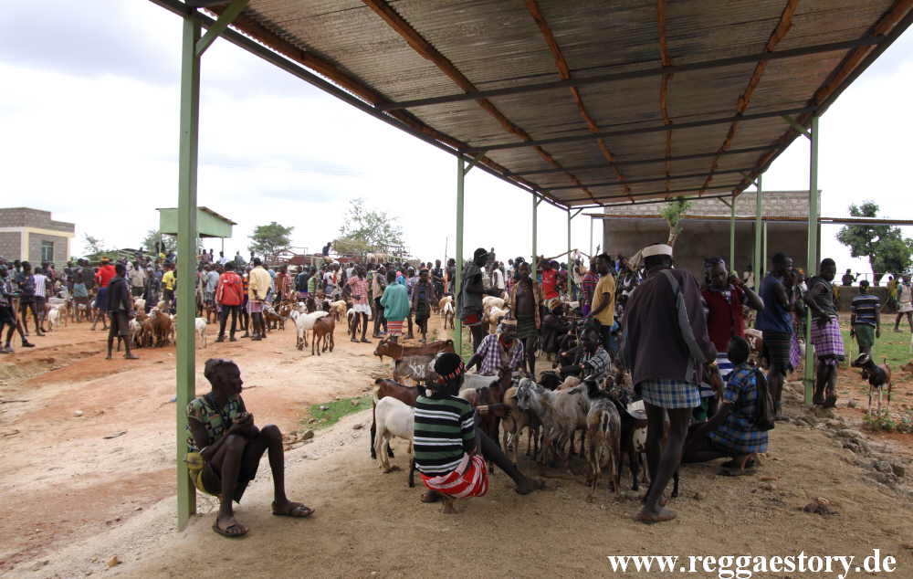 Animal market - Dimeka - Ethiopia