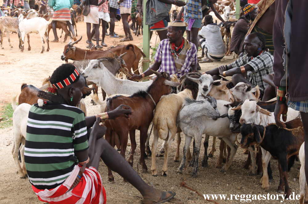 Animal market - Dimeka - Ethiopia