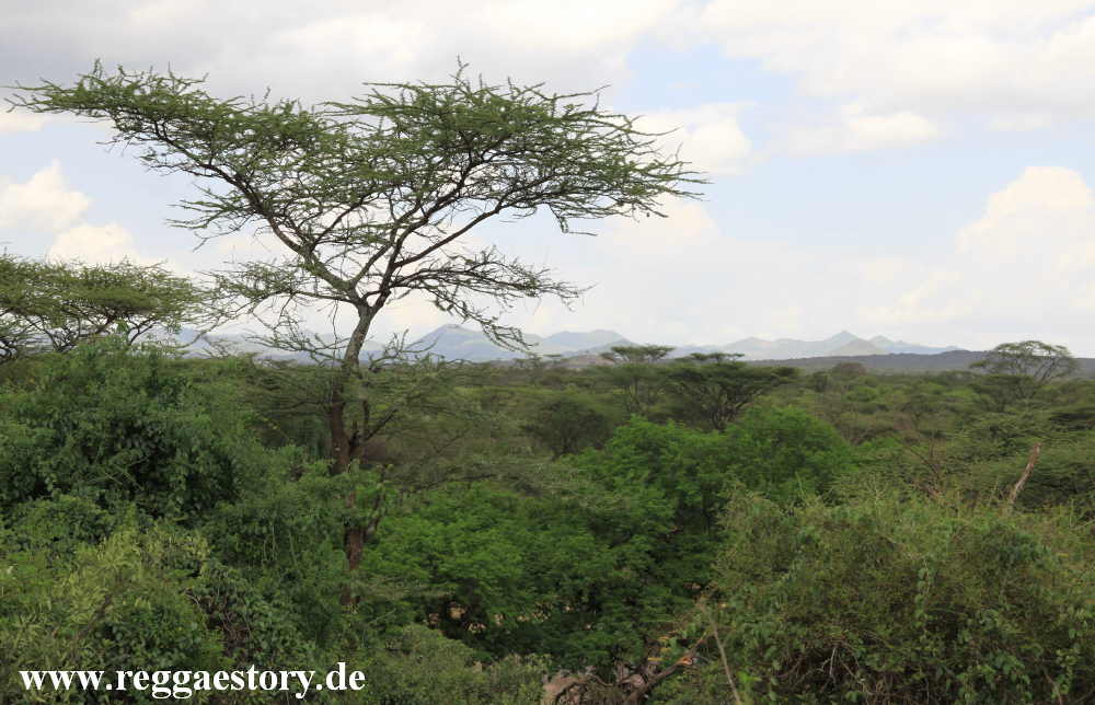 Near Buska Lodge - Turmi - Ethiopia