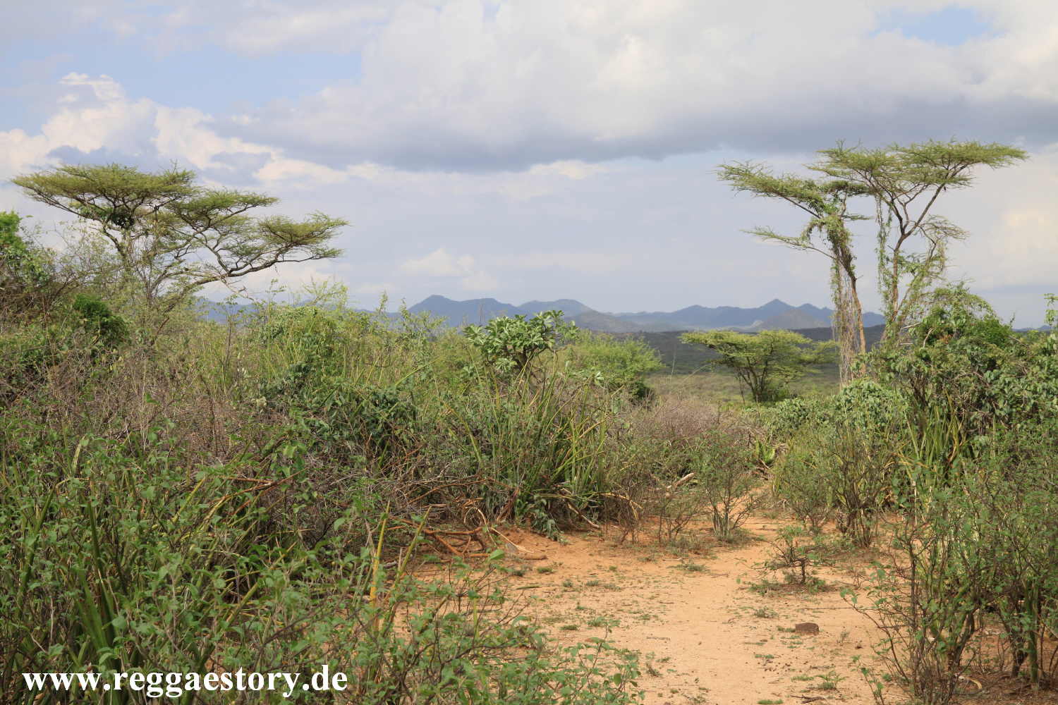 Near Buska Lodge - Turmi - Ethiopia