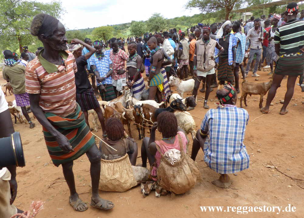 Animal market - Dimeka - Ethiopia