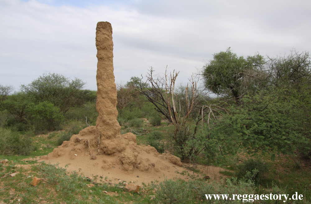 Termite burrow between Turmi and Omorate - Ethiopia
