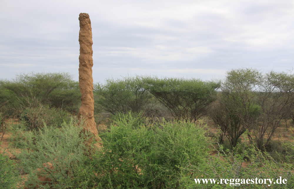 Termite burrow between Turmi and Omorate - Ethiopia