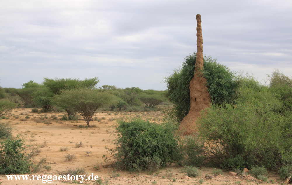 Termite burrow between Turmi and Omorate - Ethiopia