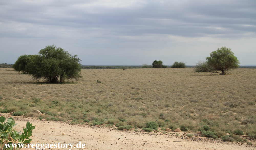 Between Turmi and Omorate - Ethiopia