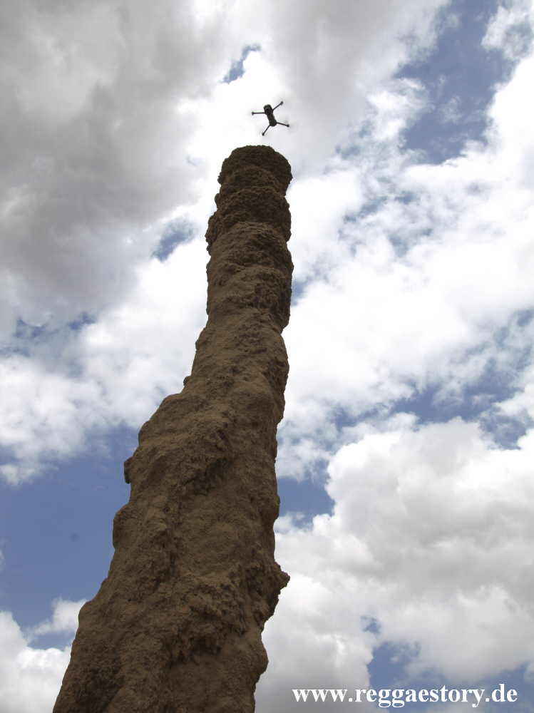 Termite burrow - Omorate - Ethiopia