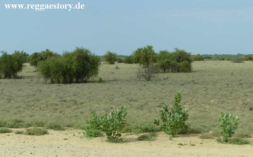 Between Turmi and Omorate - Ethiopia