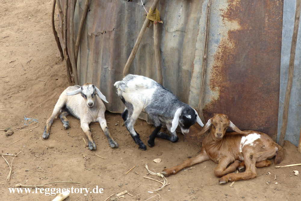 Dassanech Village - Omorate - Ethiopia