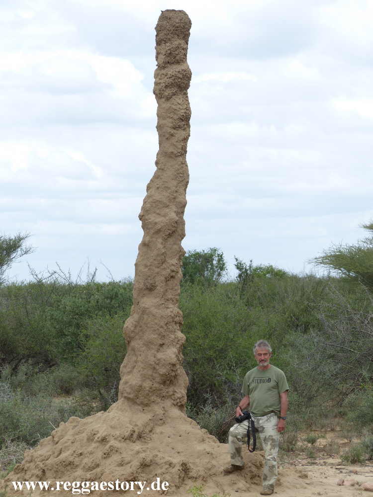 Termite burrow - Omorate - Ethiopia