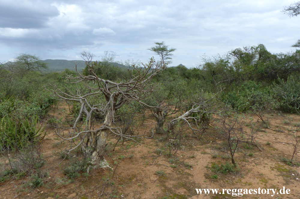 Buska Lodge - Turmi - Ethiopia