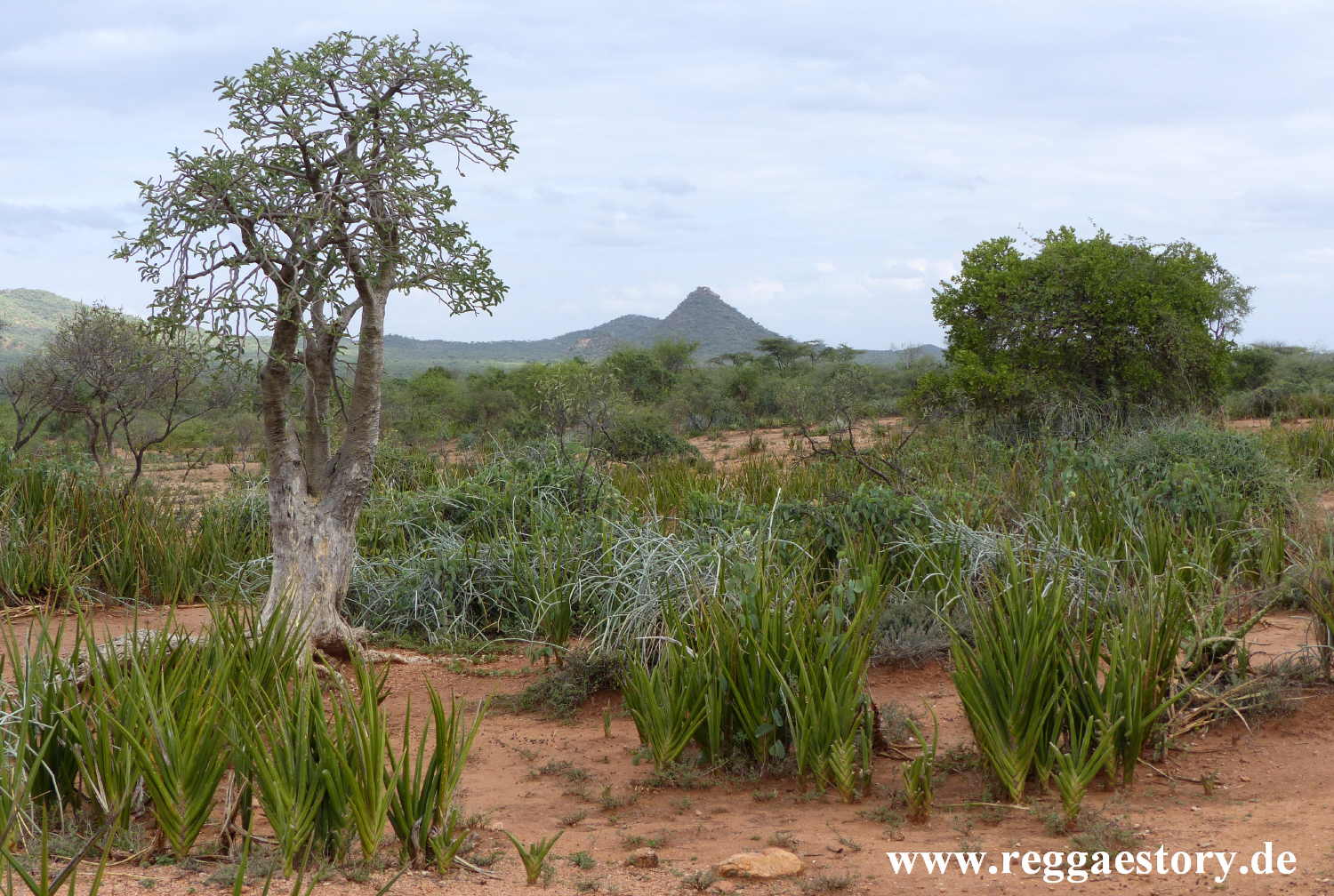 Turmi - Ethiopia