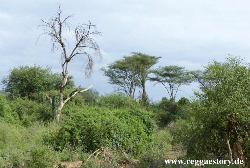 Buska Lodge - Turmi - Ethiopia