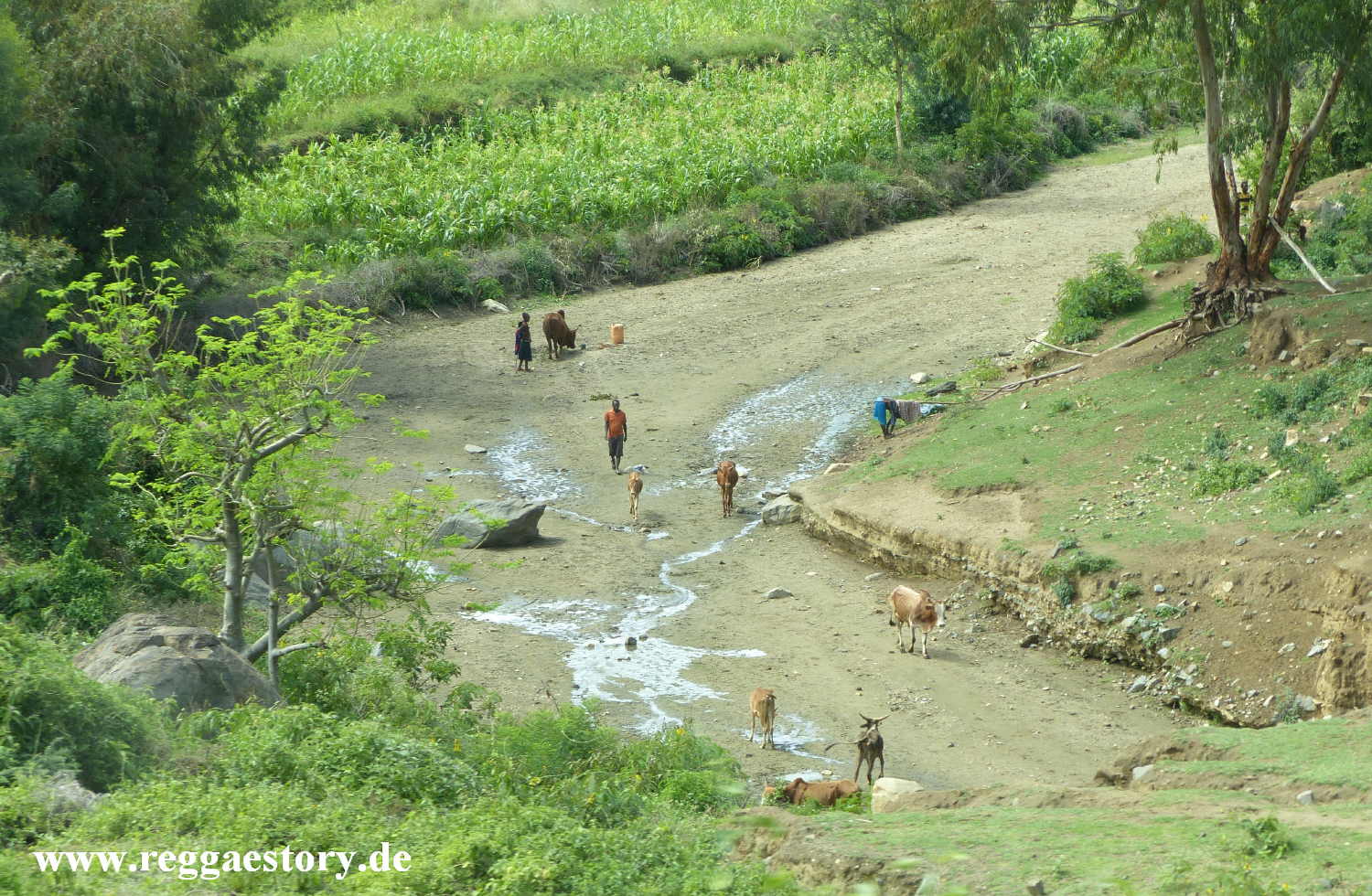 Ethiopia - The South - Near Konso