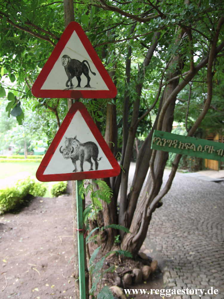 Vorsicht Affen + Warzenschweine