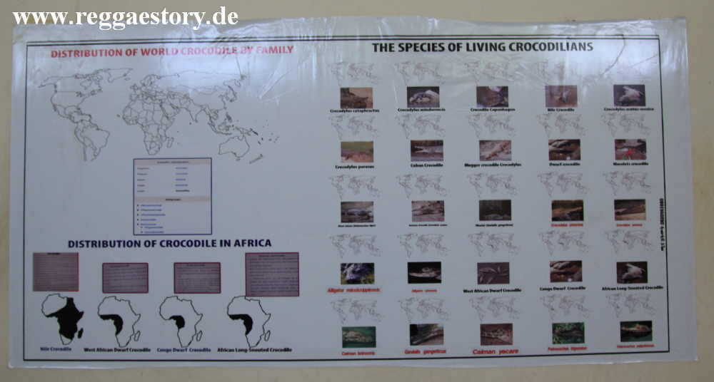 Crocodile Ranch - Arba Minch - Ethiopia