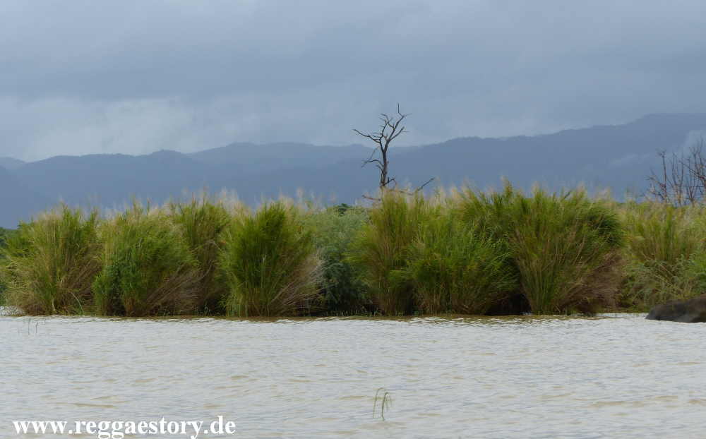Lake Chamo - Ethiopia
