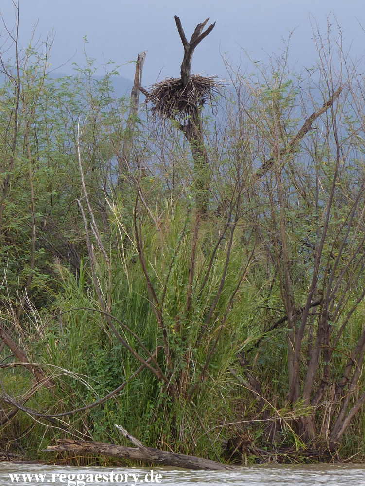 Lake Chamo - Ethiopia