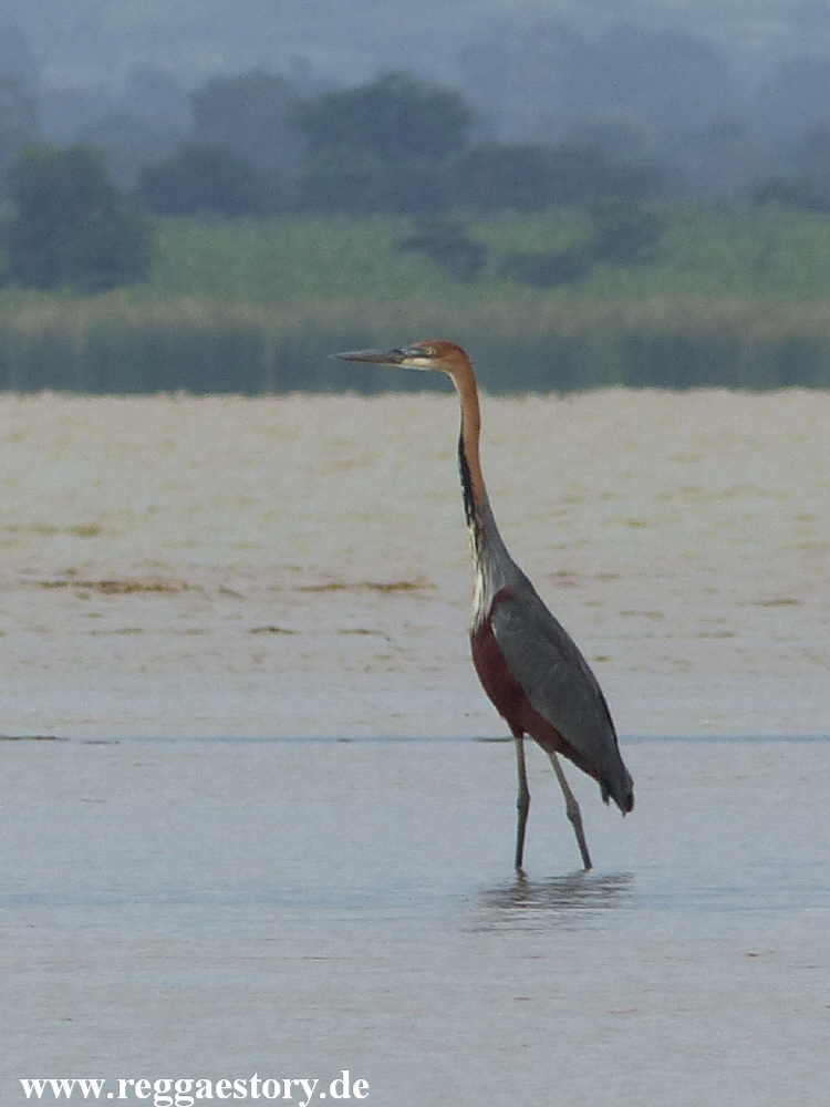 Lake Chamo - Ethiopia