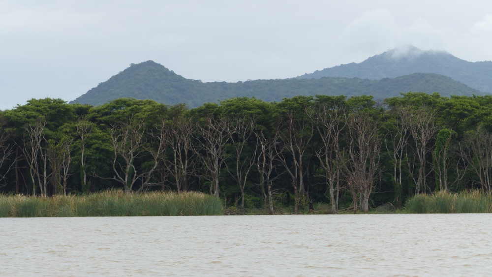 Lake Chamo - Arba Minch - Ethiopia